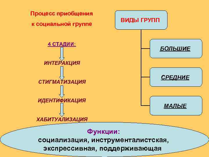 Процесс приобщения    ВИДЫ ГРУПП к социальной группе  4 СТАДИИ: 