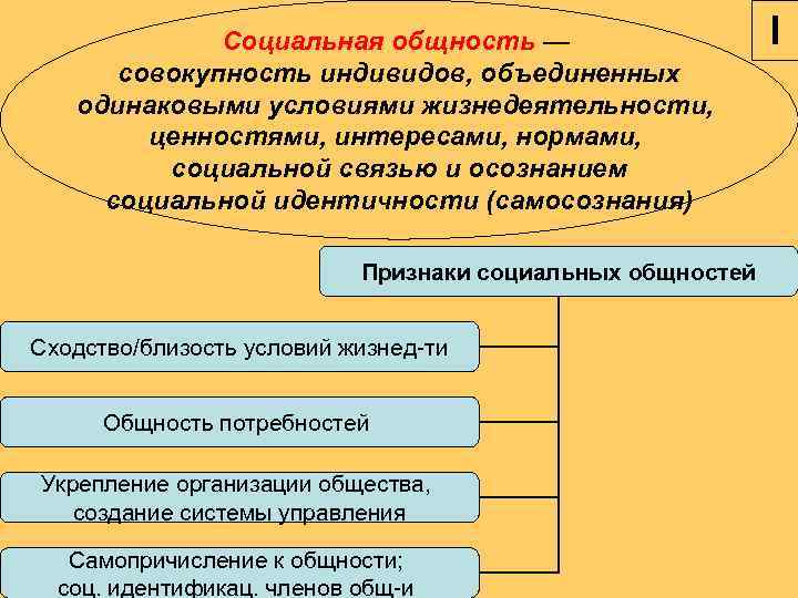    Социальная общность —     I  совокупность индивидов,