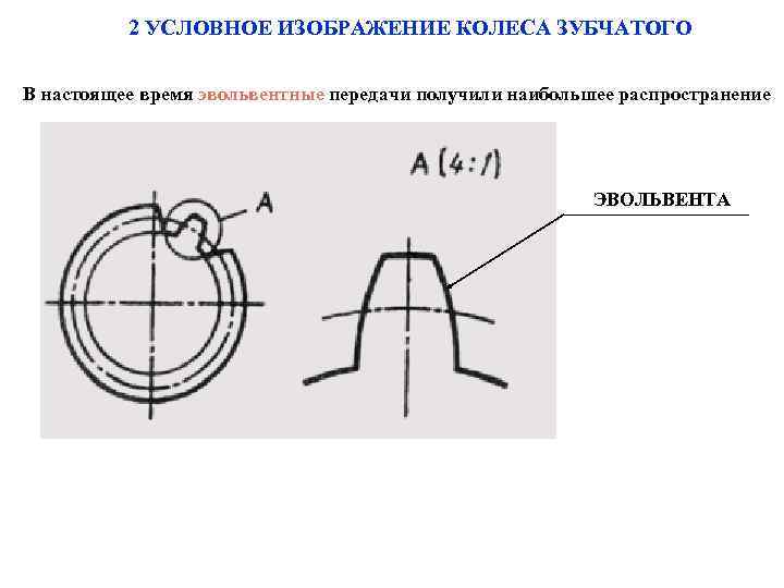 2 УСЛОВНОЕ ИЗОБРАЖЕНИЕ КОЛЕСА ЗУБЧАТОГО В настоящее время эвольвентные передачи получили наибольшее распространение ЭВОЛЬВЕНТА