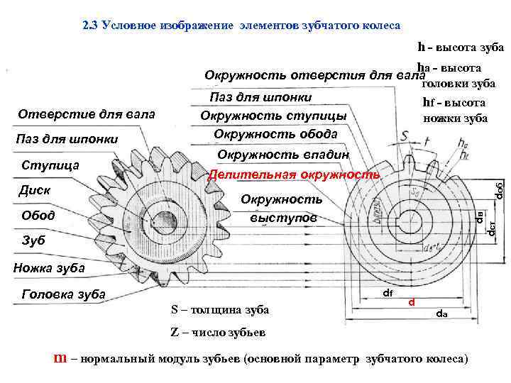 2. 3 Условное изображение элементов зубчатого колеса h - высота зуба hа - высота