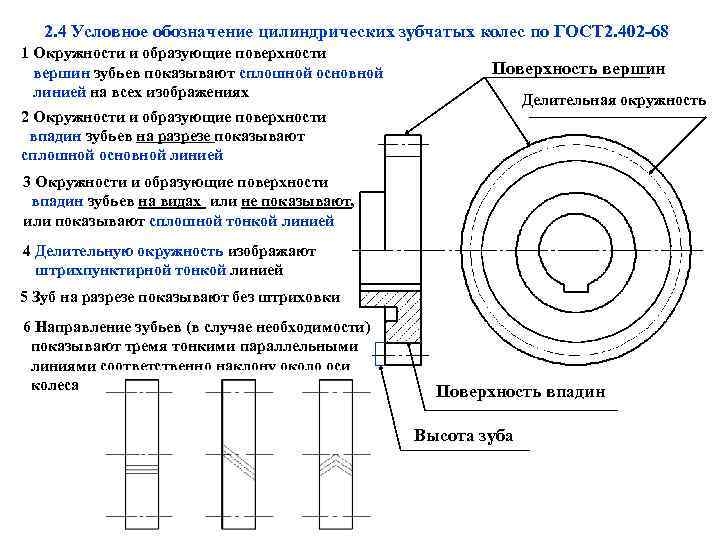 2. 4 Условное обозначение цилиндрических зубчатых колес по ГОСТ 2. 402 -68 1 Окружности