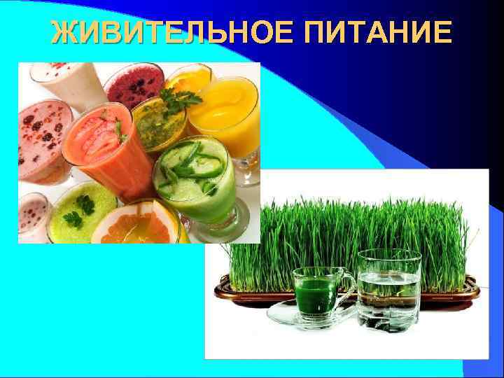 ЖИВИТЕЛЬНОЕ ПИТАНИЕ 