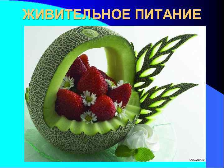 ЖИВИТЕЛЬНОЕ ПИТАНИЕ 