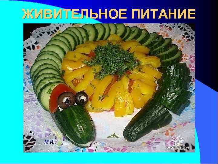 ЖИВИТЕЛЬНОЕ ПИТАНИЕ 