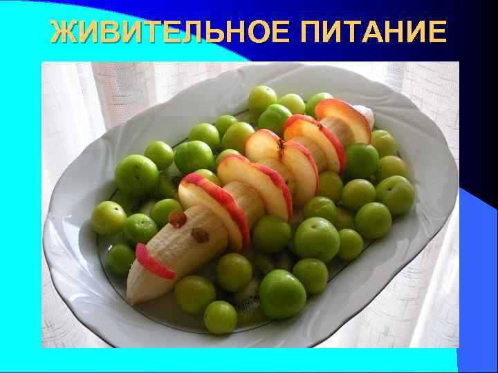 ЖИВИТЕЛЬНОЕ ПИТАНИЕ 