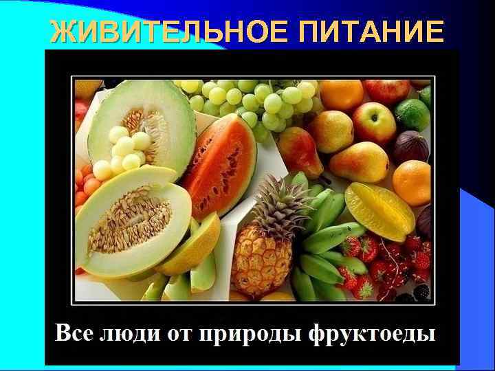 ЖИВИТЕЛЬНОЕ ПИТАНИЕ 