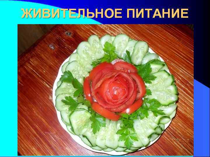 ЖИВИТЕЛЬНОЕ ПИТАНИЕ 