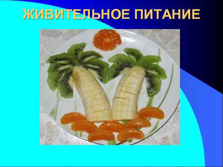 ЖИВИТЕЛЬНОЕ ПИТАНИЕ 