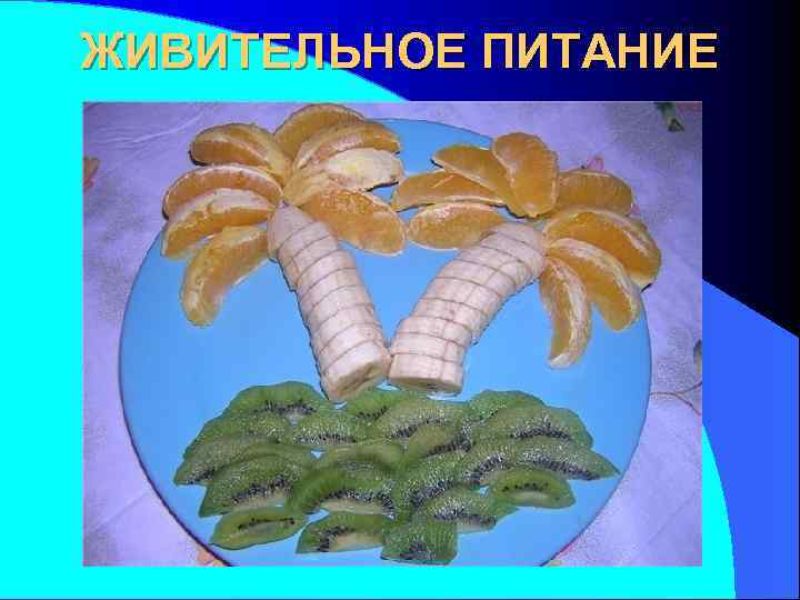 ЖИВИТЕЛЬНОЕ ПИТАНИЕ 