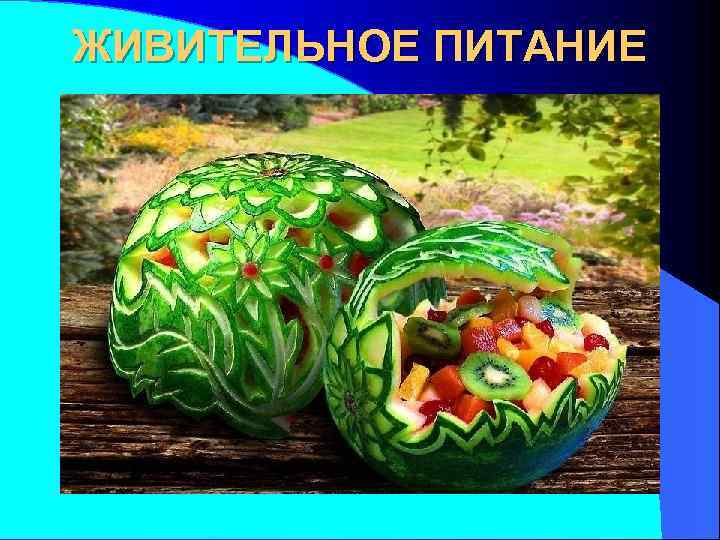ЖИВИТЕЛЬНОЕ ПИТАНИЕ 