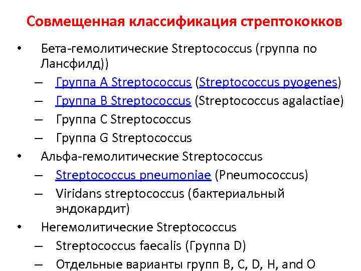 Стрептококки у женщин лечение. Гемолитический стрептококк классификация. Классификация стрептоокаах. Классификация стрептококков. Бета гемолитический стрептококк.
