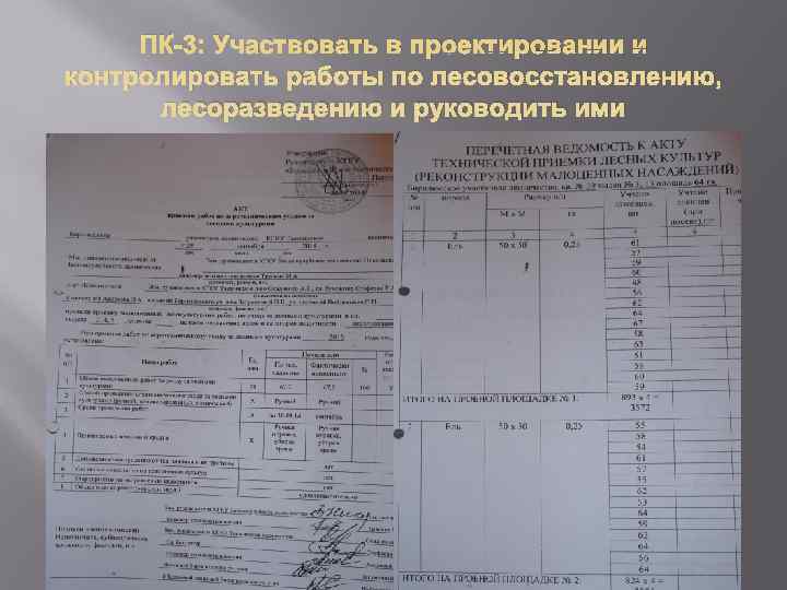  ПК-3: Участвовать в проектировании и контролировать работы по лесовосстановлению,  лесоразведению и руководить