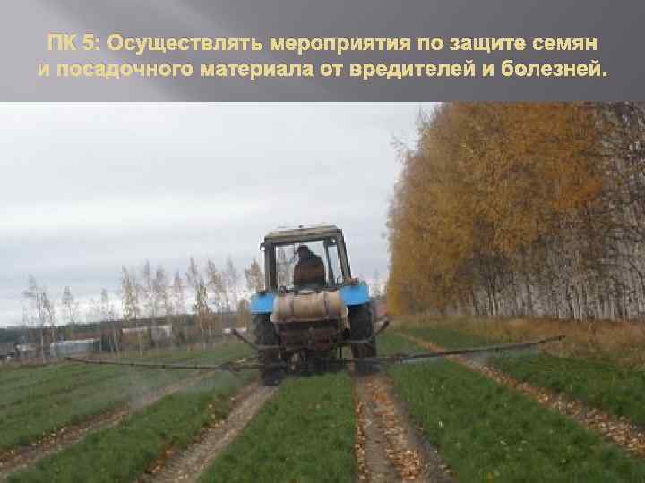  ПК 5: Осуществлять мероприятия по защите семян и посадочного материала от вредителей и