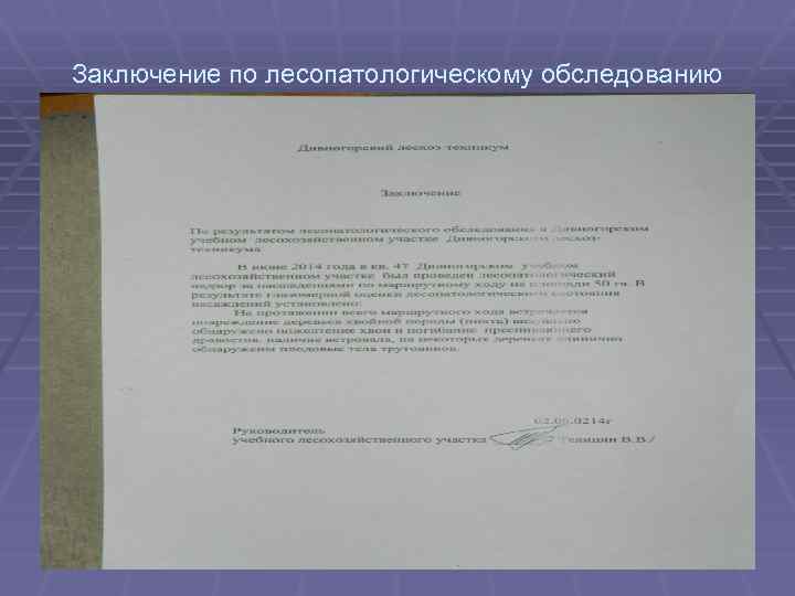 Заключение по лесопатологическому обследованию 