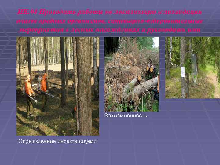 ПК. 04 Проводить работы по локализации и ликвидации очагов вредных организмов, санитарно-оздоровительные мероприятия в