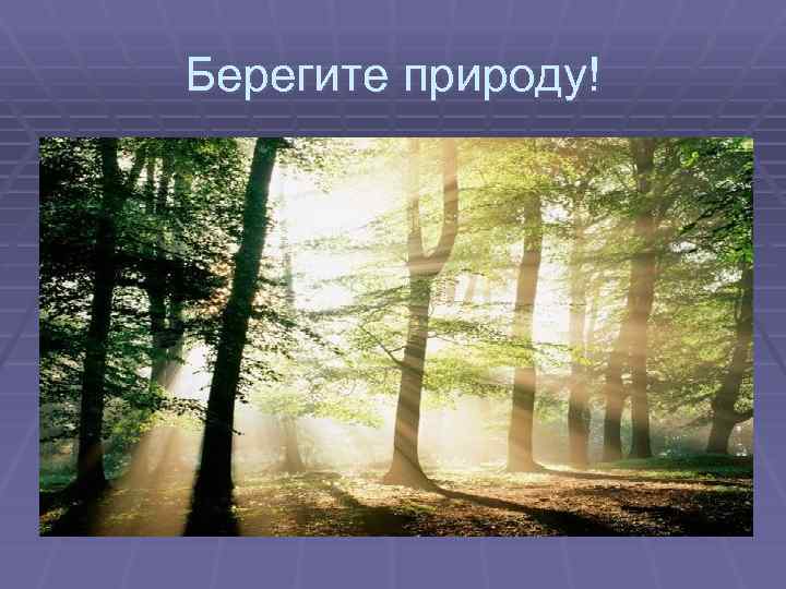 Берегите природу! 