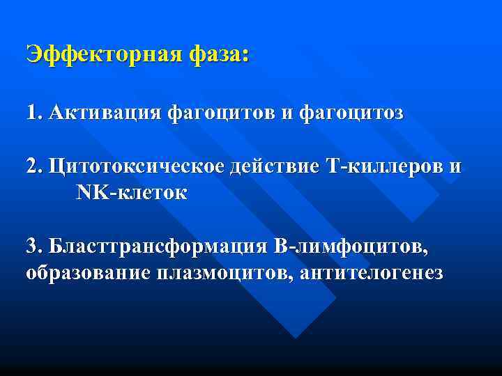 Эффекторная фаза: 1. Активация фагоцитов и фагоцитоз 2. Цитотоксическое действие Т-киллеров и NK-клеток 3.