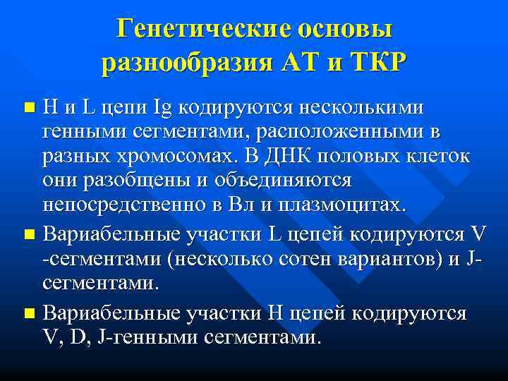 Генетические основы разнообразия АТ и ТКР H и L цепи Ig кодируются несколькими генными