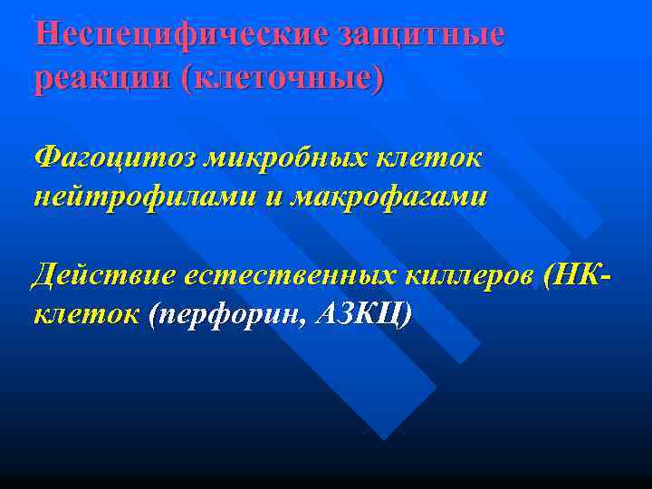 Неспецифические защитные реакции (клеточные) Фагоцитоз микробных клеток нейтрофилами и макрофагами Действие естественных киллеров (НКклеток