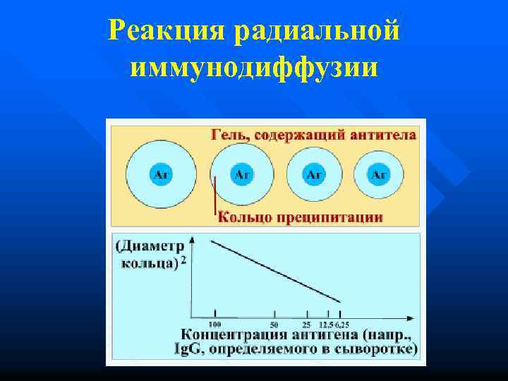 Реакция радиальной иммунодиффузии 