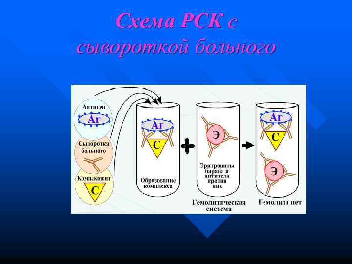 Схема РСК с сывороткой больного 