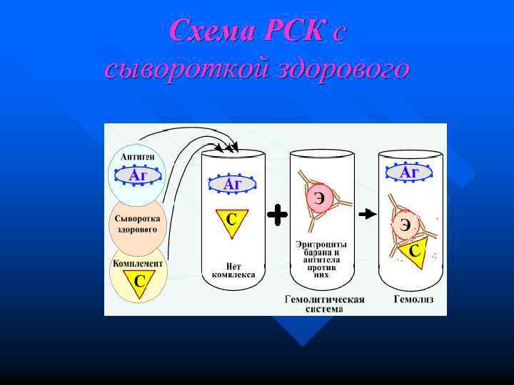 Схема РСК с сывороткой здорового 