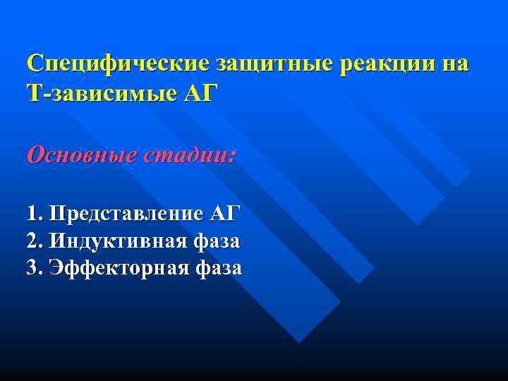 Специфические защитные реакции на Т-зависимые АГ Основные стадии: 1. Представление АГ 2. Индуктивная фаза