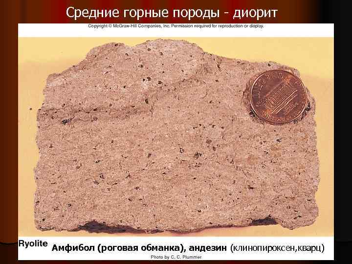  Средние горные породы - диорит Амфибол (роговая обманка), андезин (клинопироксен, кварц) 