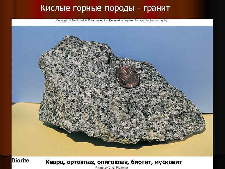 Кислые горные породы - гранит Кварц, ортоклаз, олигоклаз, биотит, мусковит 