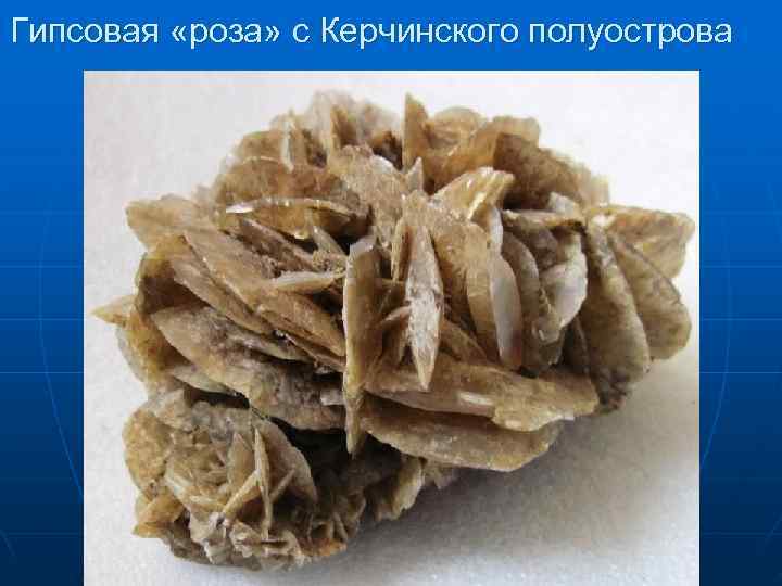 Гипсовая «роза» с Керчинского полуострова Гипсовая «роза» с Керчинского полуострова