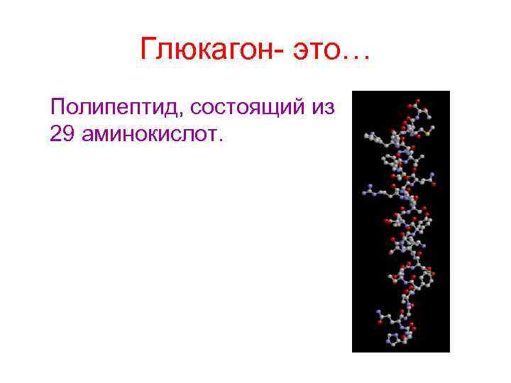   Глюкагон- это… Полипептид, состоящий из 29 аминокислот. 