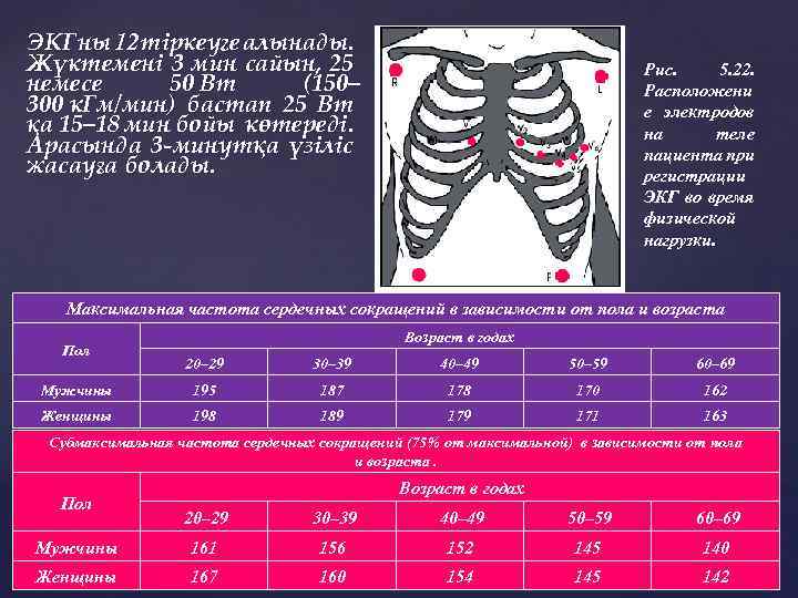 ЭКГ ны 12 тіркеуге алынады. Жүктемені 3 мин сайын, 25 немесе 50 Вт (150–
