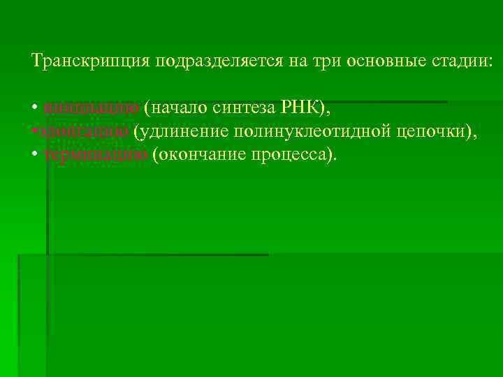 Транскрипция подразделяется на три основные стадии: • инициацию (начало синтеза РНК), • элонгацию (удлинение