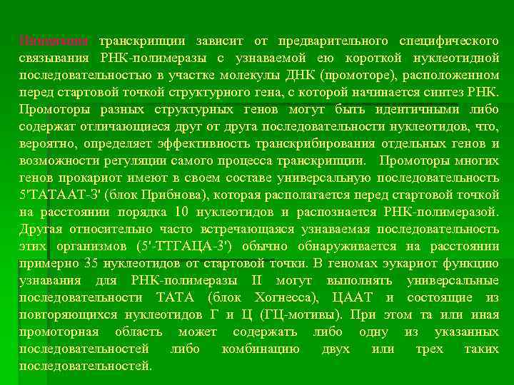 Инициация транскрипции зависит от предварительного специфического связывания РНК-полимеразы с узнаваемой ею короткой нуклеотидной последовательностью