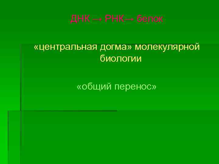ДНК → РНК→ белок «центральная догма» молекулярной биологии «общий перенос» 
