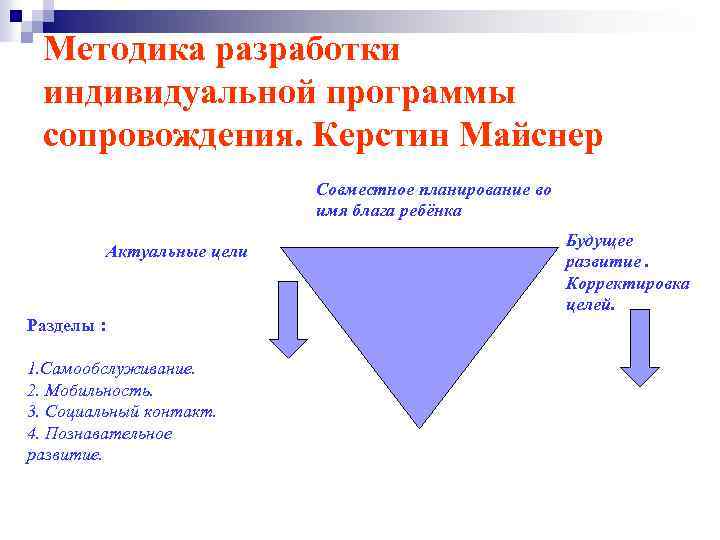 Индивидуальная программа сопровождения. Автор программы сопровождения обучения будущего императора:.