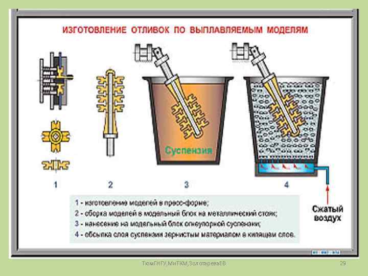 Тюм. ГНГУ, Ми. ТКМ, Золотарева. ЕВ 29 