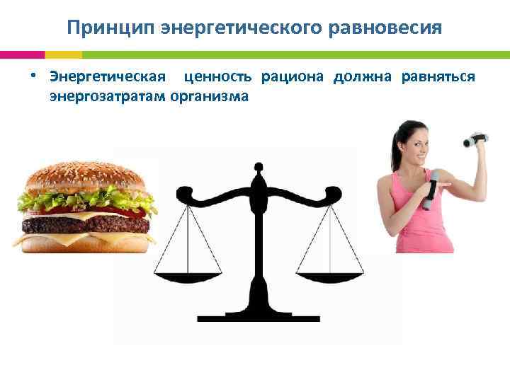 Принцип энергетического равновесия • Энергетическая ценность рациона должна равняться энергозатратам организма 
