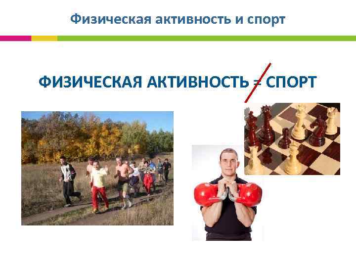Физическая активность и спорт ФИЗИЧЕСКАЯ АКТИВНОСТЬ = СПОРТ 