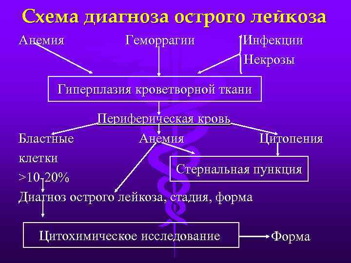 Схема диагноза острого лейкоза Анемия Геморрагии Инфекции Некрозы Гиперплазия кроветворной ткани Периферическая кровь Анемия