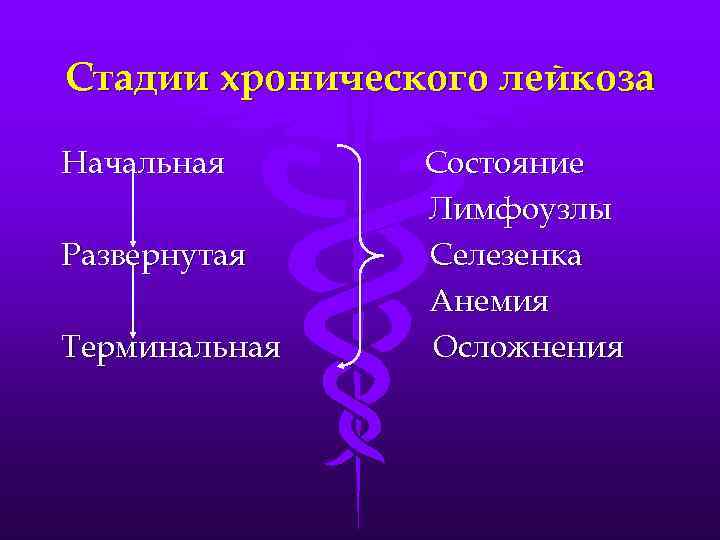 Стадии хронического лейкоза Начальная Развернутая Терминальная Состояние Лимфоузлы Селезенка Анемия Осложнения 