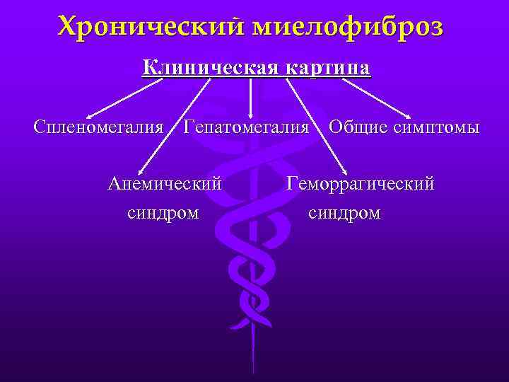 Хронический миелофиброз Клиническая картина Спленомегалия Гепатомегалия Общие симптомы Анемический синдром Геморрагический синдром 
