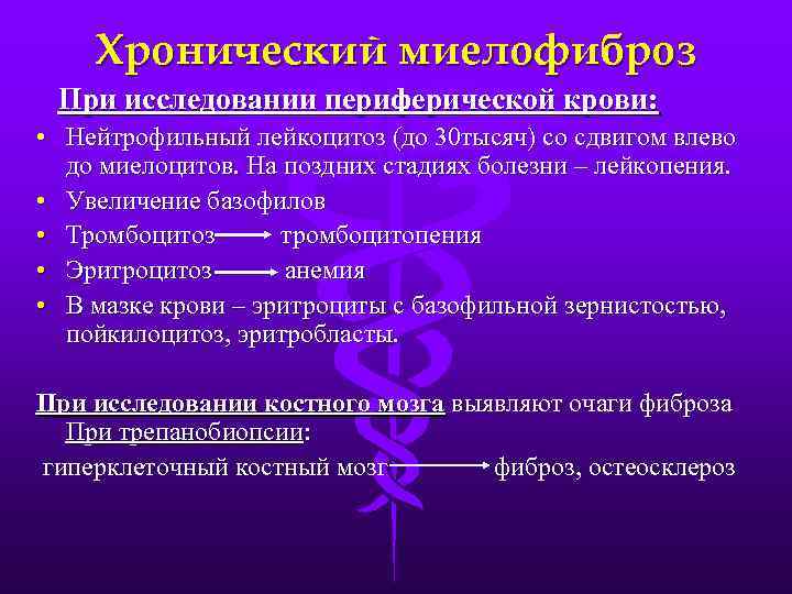 Хронический миелофиброз При исследовании периферической крови: • Нейтрофильный лейкоцитоз (до 30 тысяч) со сдвигом