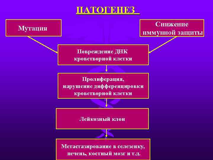 ПАТОГЕНЕЗ Снижение иммунной защиты Мутация Повреждение ДНК кроветворной клетки Пролиферация, нарушение дифференцировки кроветворной клетки