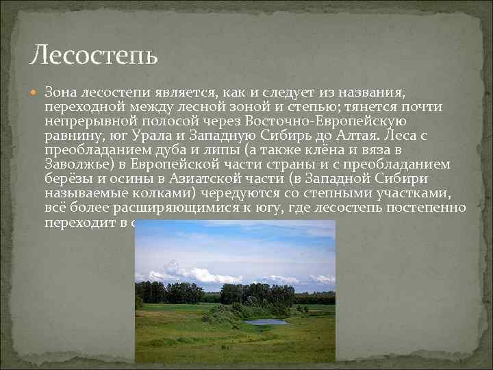 Лесостепь  Зона лесостепи является, как и следует из названия,  переходной между лесной
