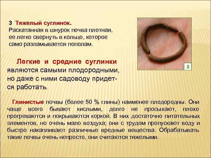 3 Тяжелый суглинок.  Раскатанная в шнурок почва плотная,  ее легко свернуть в