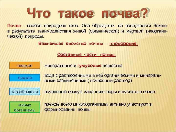    Что такое почва? Почва - особое природное тело.  Она образуется