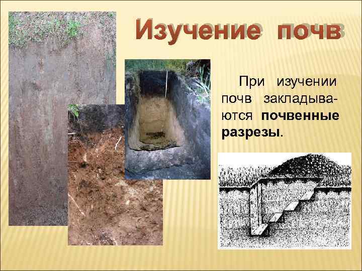 Изучение почв   При  изучении  почв  закладыва- ются почвенные 