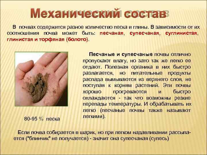    Механический состав В почвах содержится разное количество песка и глины. В