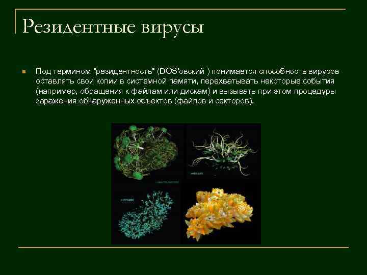 Резидентные вирусы n Под термином Резидентные вирусы n Под термином
